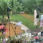 Greenhouseromancenew