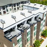 Violet Vogue - Rooftop Patio - Skee-Ball Game