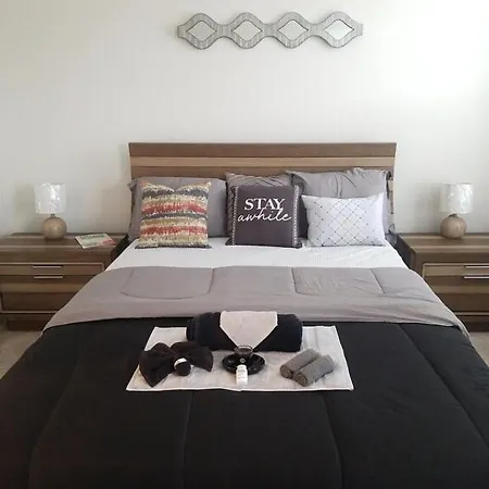 Apartment Suburban Chic- Close To The Music Downtown Buzz