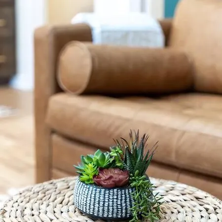 Apartment Welcome To The Jungle!