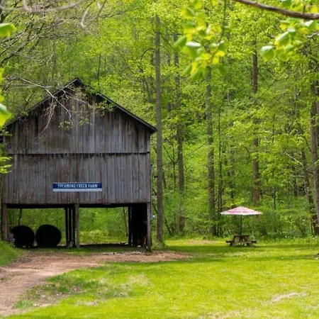 Peaceful 3br On 5 Acres - Minutes From Holiday home