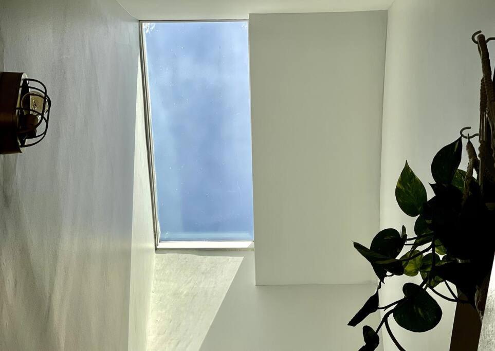 Apartment Deal For A Great Vacation *