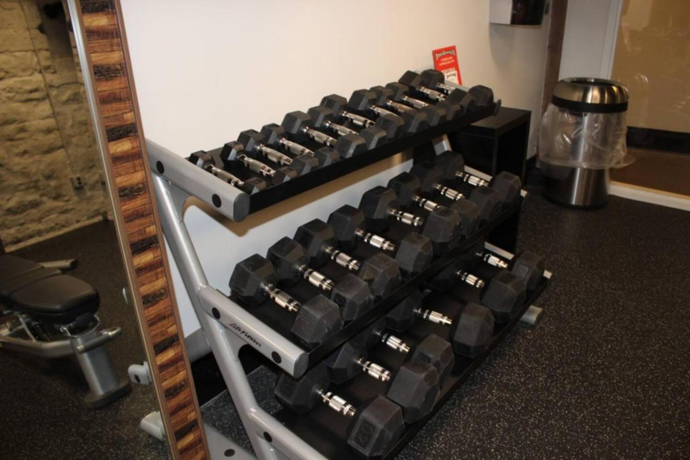 Amazing Amenities And Location - 1 Bedroom Apartment