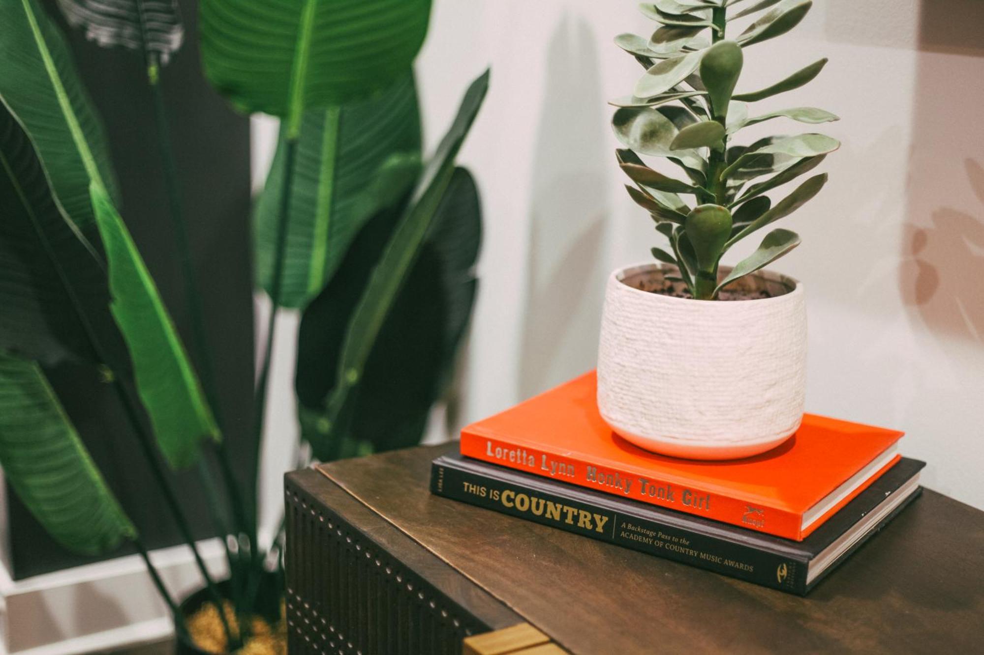 Legends Loft Modern Near Vandy On West End Nashville