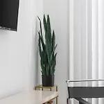 Modern Spacious With Parking By Downtown Broadway * Nashville
