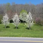 Hillbilly Haven