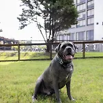 Hotel Delta By Marriott Airport Nashville