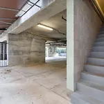 The Celebrity - Free Parking Central Vanderbilt