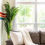 The Dogwood House - Cute Cozy And Close To Everything