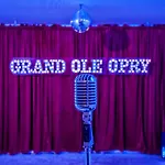 Holiday home New Dollys Dream 12 Beds Downtown Nash Opry Karaoke Nashville