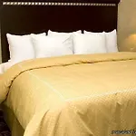 Comfort Near Percy Priest 4*