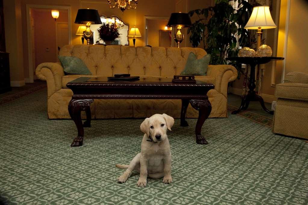 The Hermitage 5*