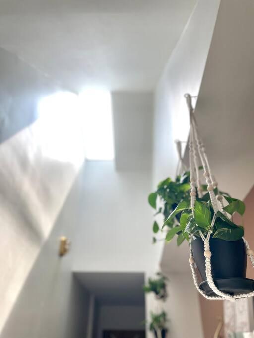 Geodis Park In Weho Apartment Nashville