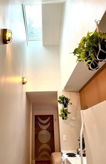 Have The Best Place In