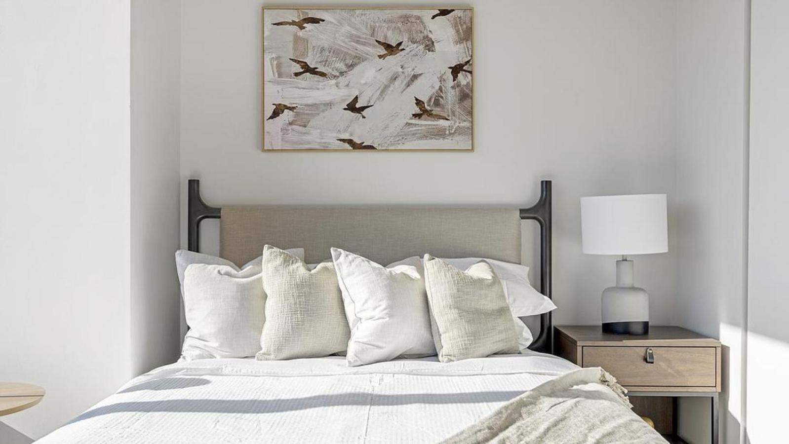 Apartment Landing Modern With Amazing Amenities *