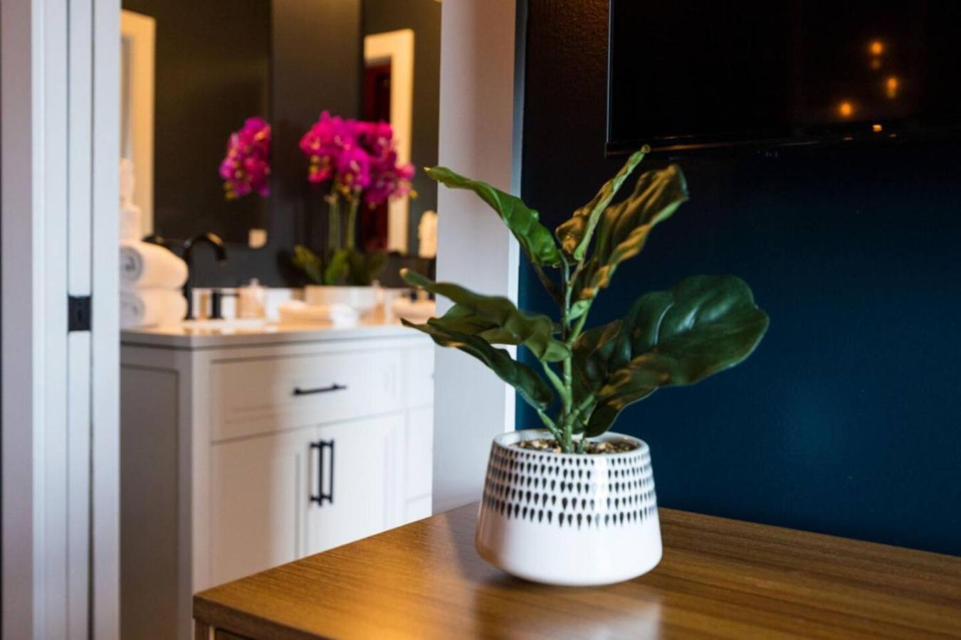 Nations Elegance Rooftop And Private Patio Nashville