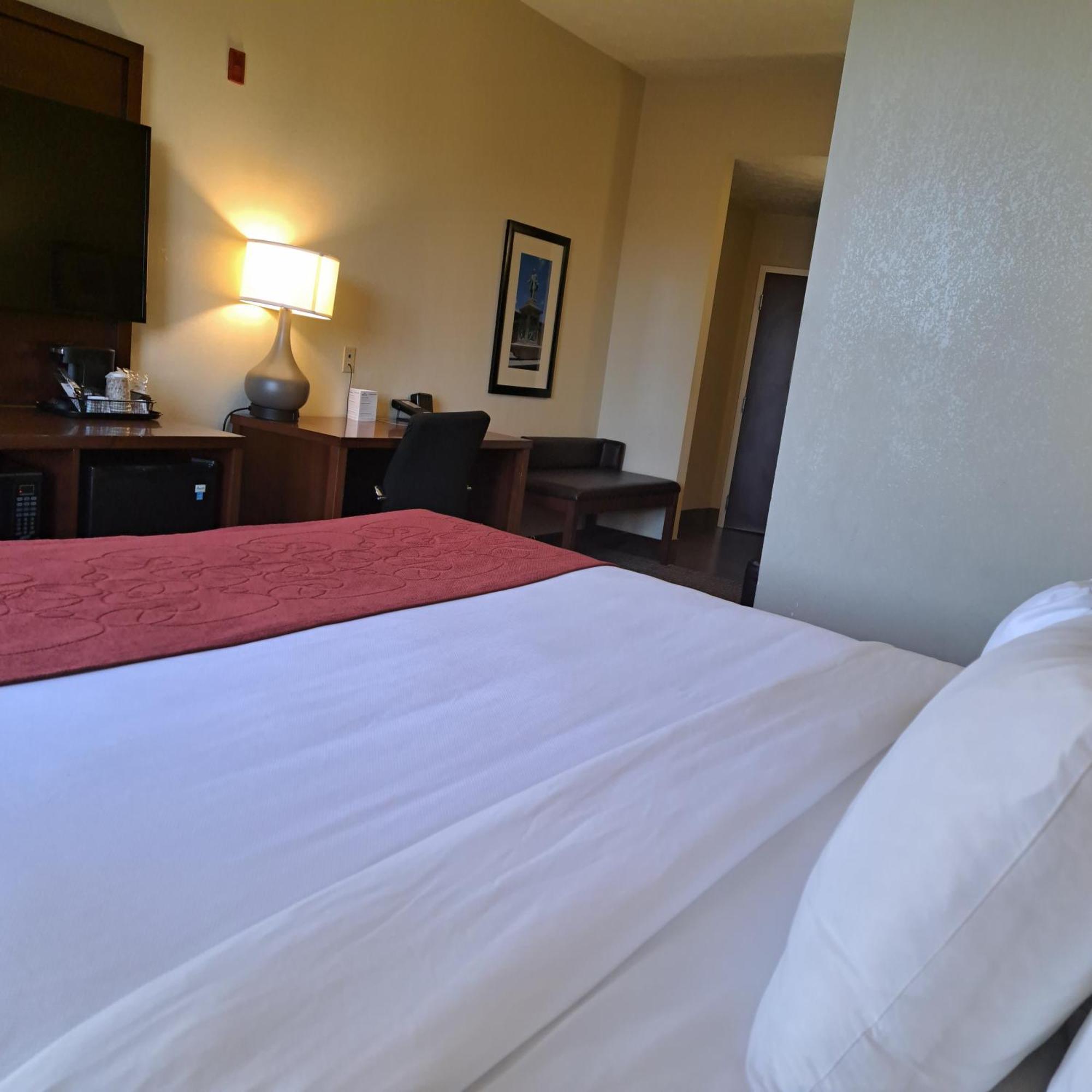 Comfort Near Percy Priest Hotel