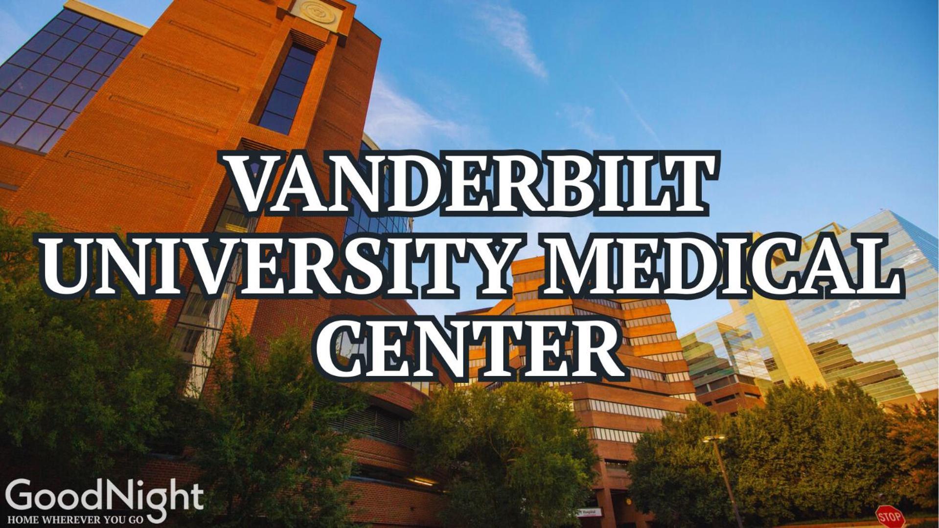 Chords-odyssey-walk/drive To Vanderbilt Holiday home