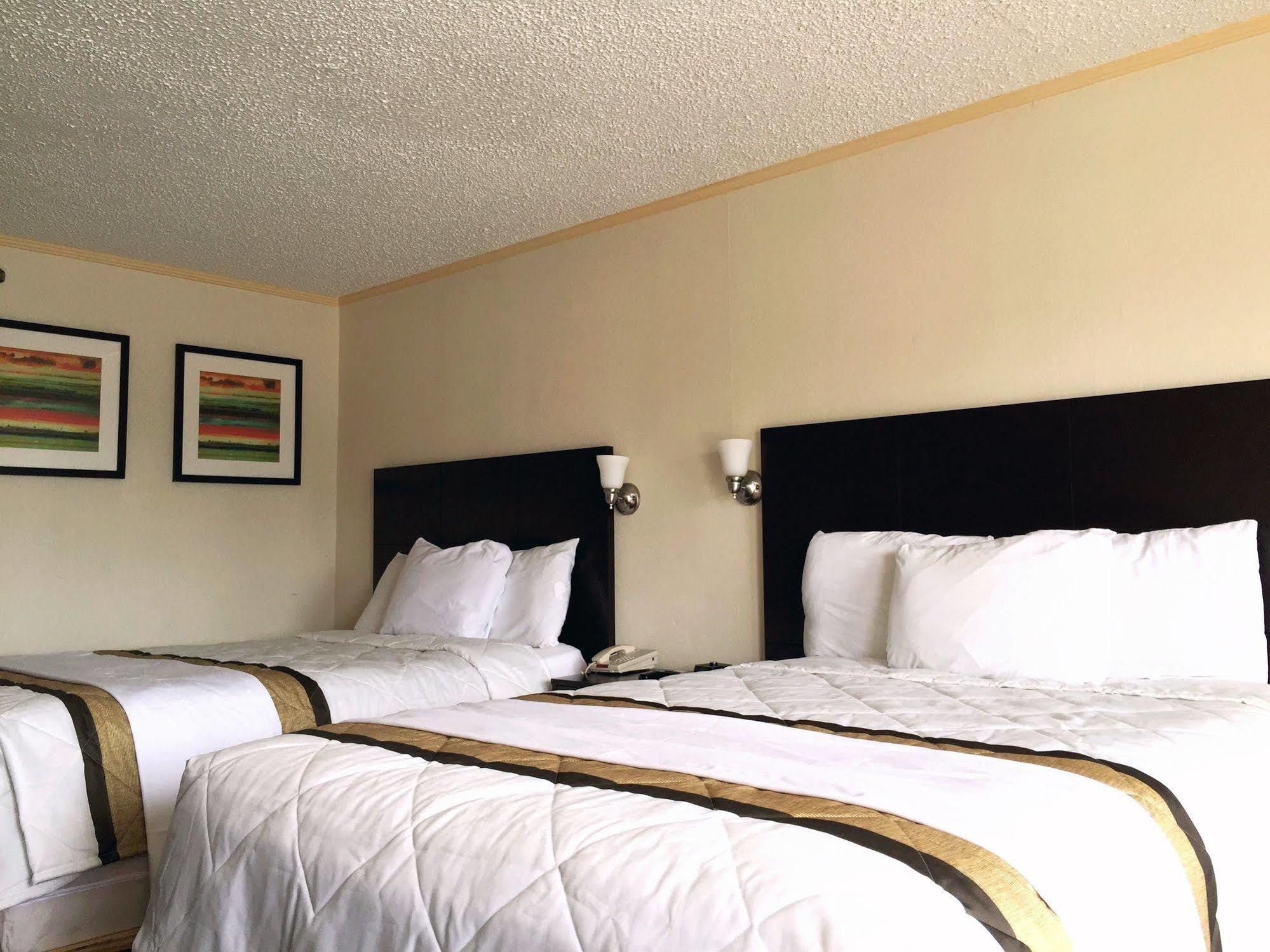 Knights - Downtown 2*