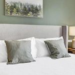 Landing Modern Apartment With Amazing Amenities