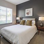 Landing Modern Apartment With Amazing Amenities