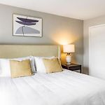 Landing Modern Apartment With Amazing Amenities