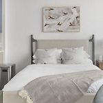 Landing Modern Apartment With Amazing Amenities