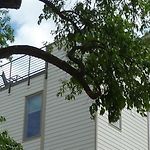 Great Location, Large Home - Roof Deck, Walk To Ni