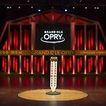 House Of Many Records - Brand New Spacious Luxury
