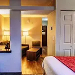 Hotel Western Airport - Bna 3*