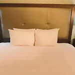 Hotel Hampton & Nashville-airport Nashville