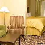 Comfort Near Percy Priest Hotel
