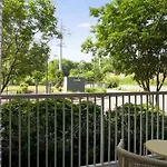 Landing Modern Apartment With Amazing Amenities