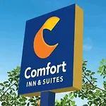 Comfort & Bellevue 4*
