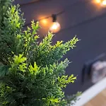 Holiday home Music Harmony Beautiful Lux Rooftop Nashville