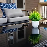 Nashville Getaway - Spacious & Comfortable! Guests Love It!