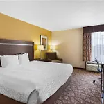 Western Belle Meade &