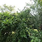 The Magnolia Mansion 6 Minutes To Broadway On 4 Acres