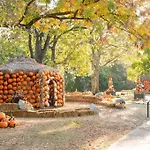 6 Bedroom Gulch Homes, Garages, Rooftops, Walk To Gulch 10 Mins To Broadway, 24 Hour Hospitality Team, Perfect For Groups