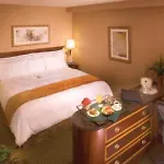Hotel Radisson Airport 4*