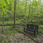 Brenda Lee History 2br Pool Hot Tub Nashville