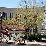 Courtyard By Marriott Airport 3*