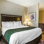 Comfort Near Percy Priest 4* Nashville