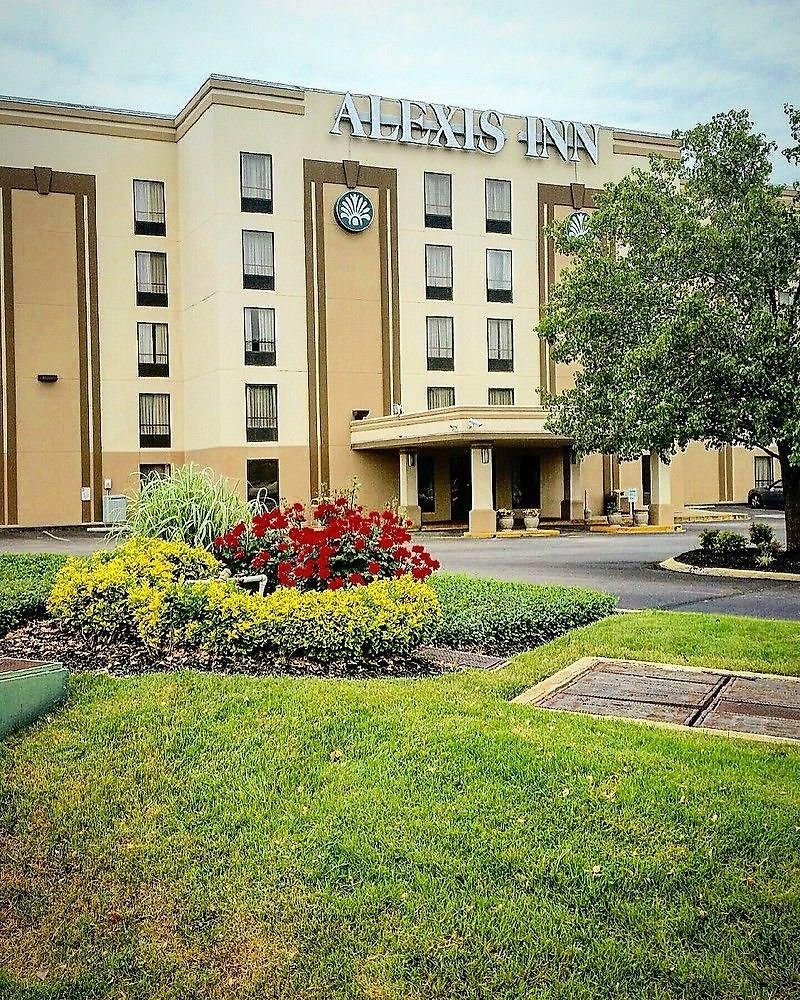 Alexis And Hotel