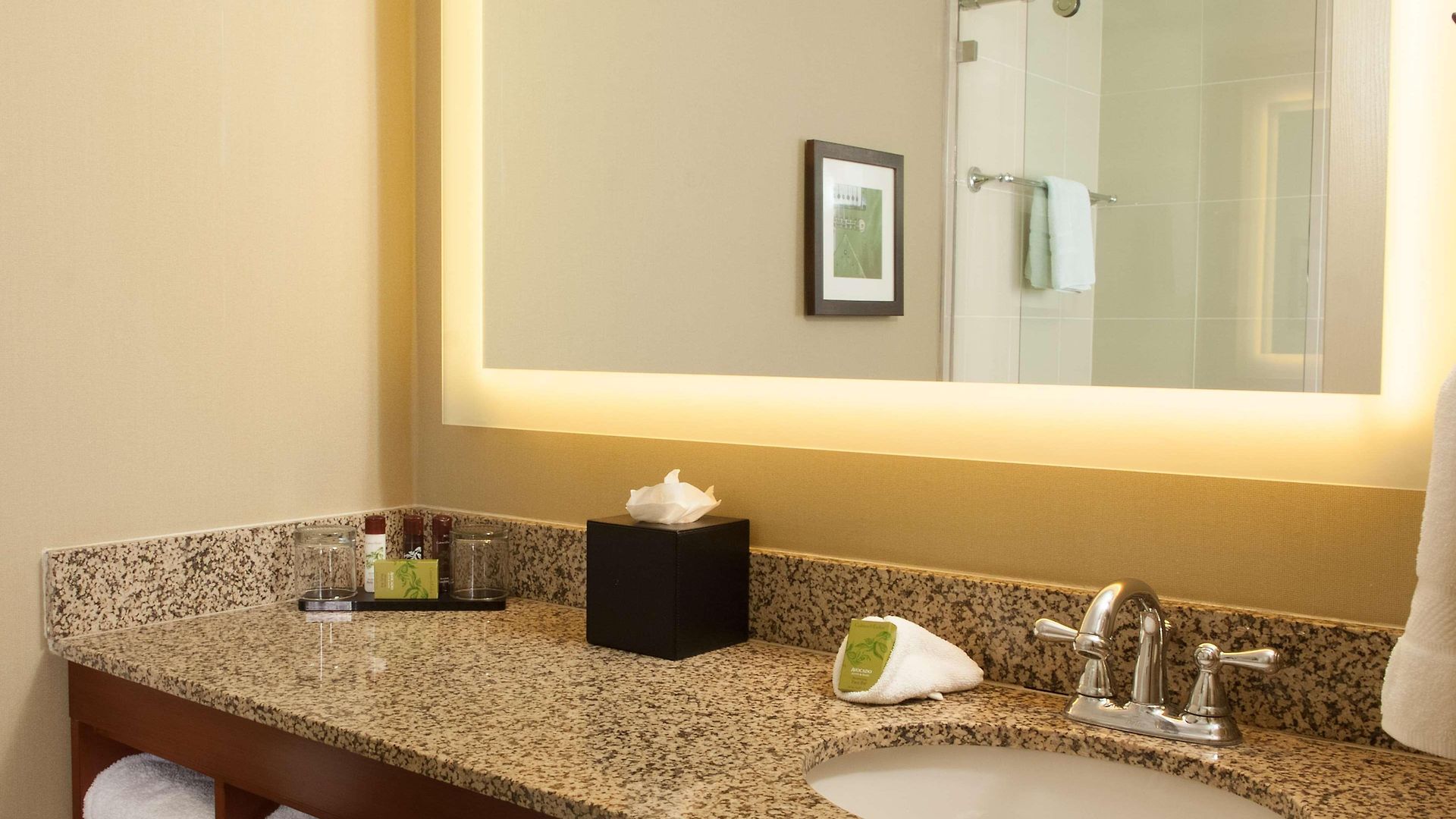 Embassy By Hilton Airport Hotel 4*