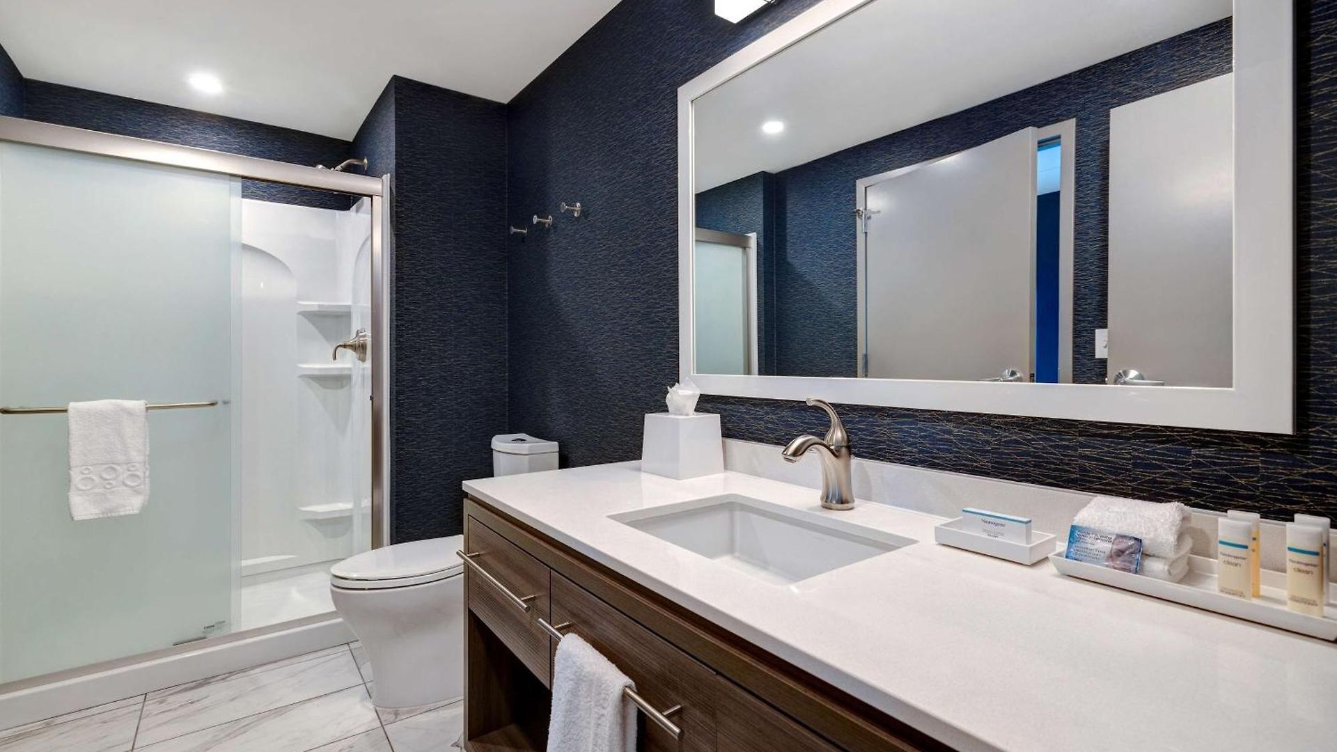 Home2 By Hilton Downtown-metrocenter Hotel