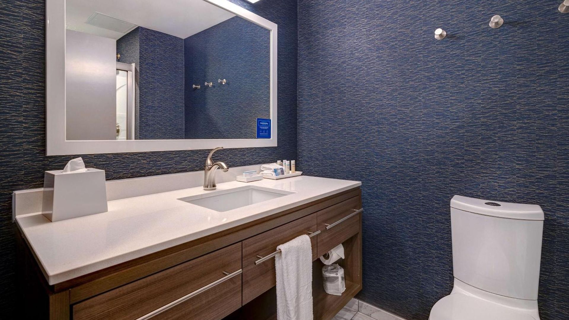 Home2 By Hilton Downtown-metrocenter Hotel