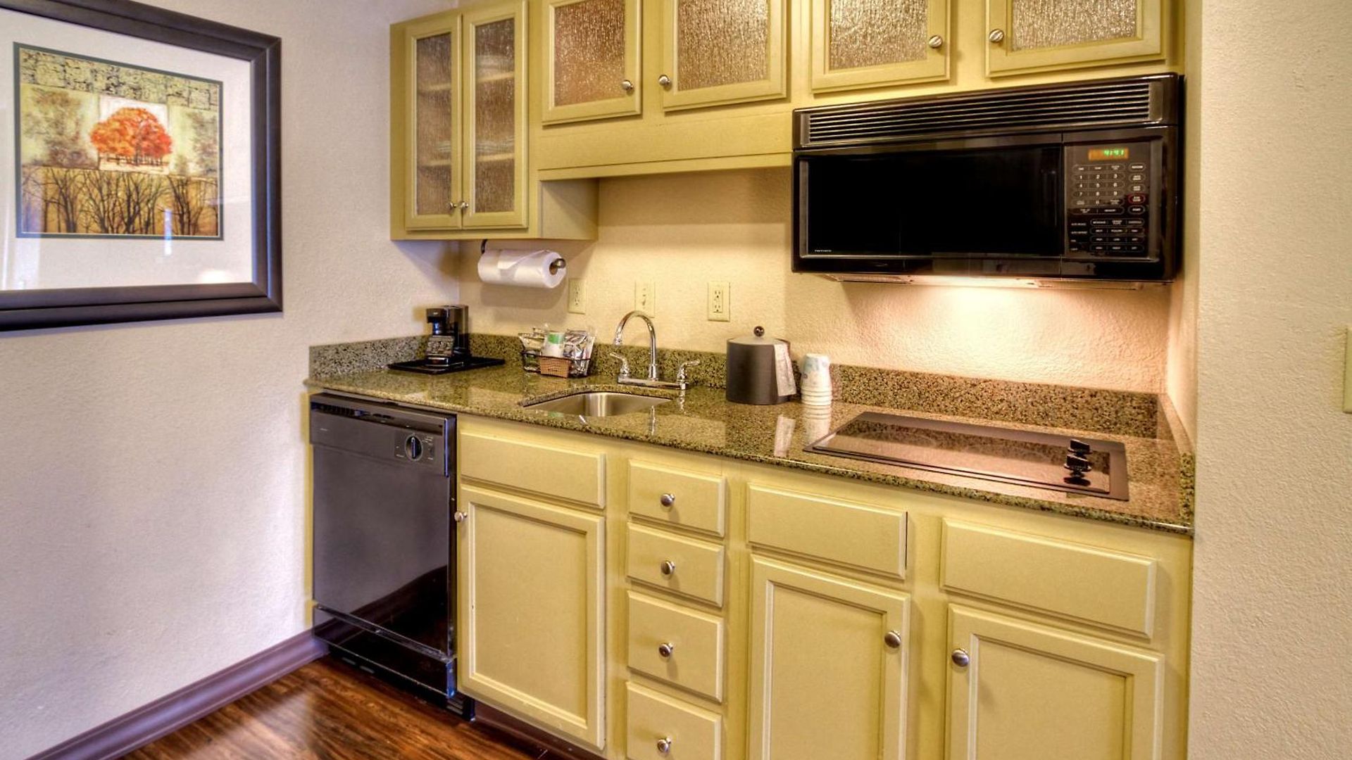 Hampton & Nashville-vanderbilt-elliston Place 3* Nashville