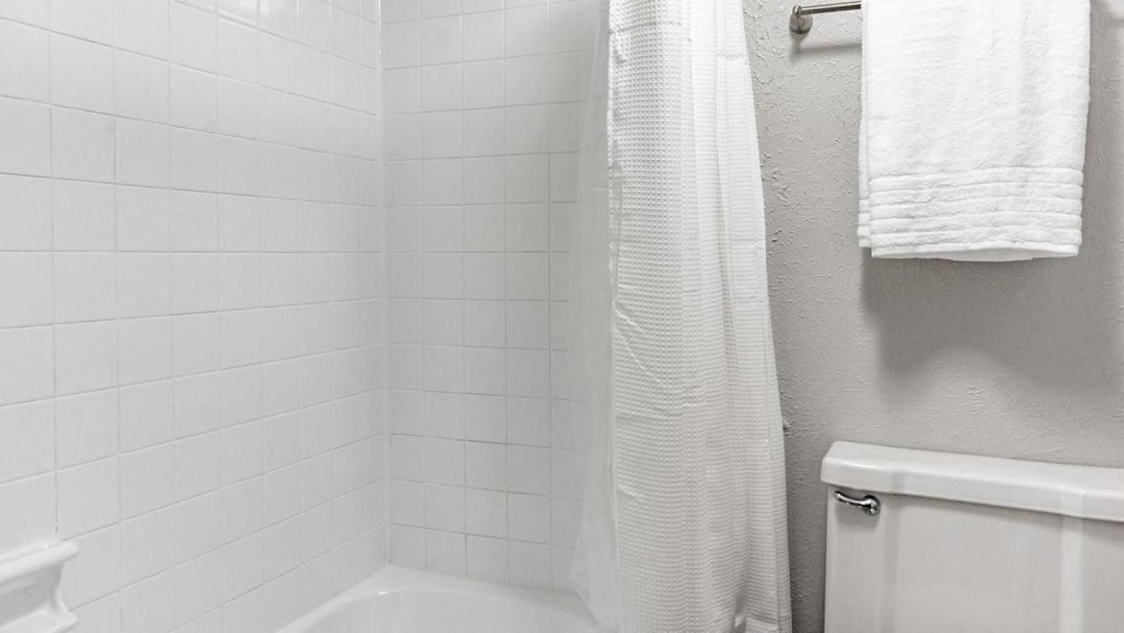 Apartment Landing Modern With Amazing Amenities Nashville