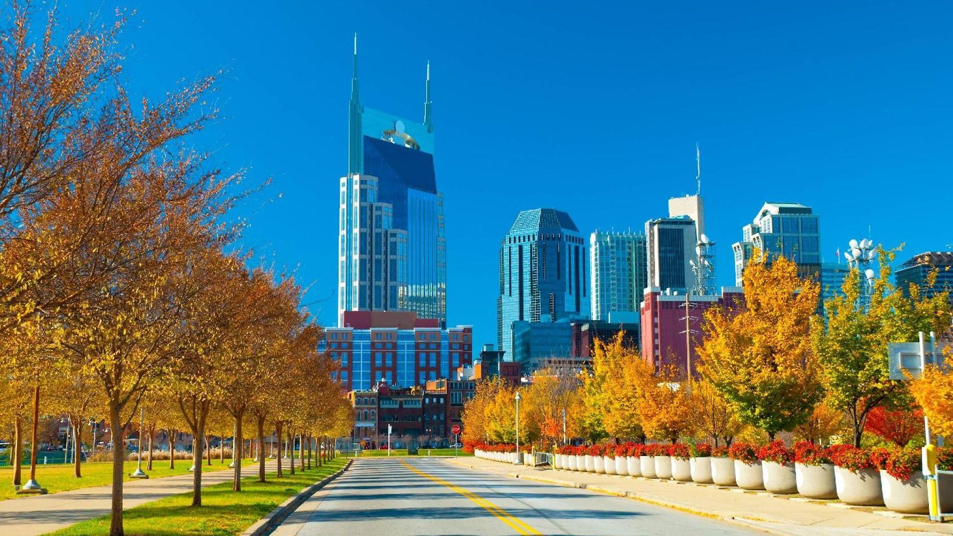 Elmhurst 113a Nashville